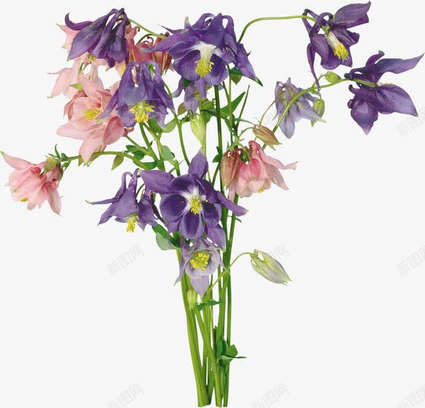 一束鲜花png免抠素材_新图网 https://ixintu.com 清新 粉色花朵 紫色花朵 花束