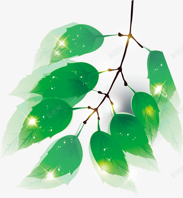 创意绿色手绘树叶png免抠素材_新图网 https://ixintu.com 创意绿色 手绘树叶 树叶 绿色 绿色树叶