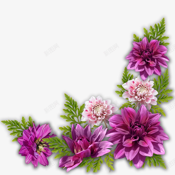 花卉装饰图案png免抠素材_新图网 https://ixintu.com PNG 唯美 粉嫩 花卉 装饰图案