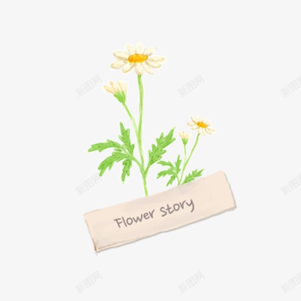 花png免抠素材_新图网 https://ixintu.com flower story 花 雏菊 黄色