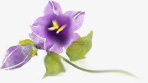紫色卡通手绘唯美花朵png免抠素材_新图网 https://ixintu.com 卡通 紫色 花朵