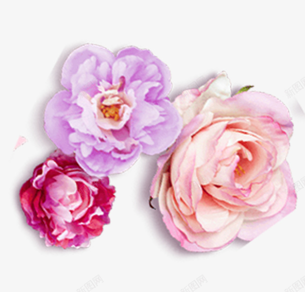粉色三朵花装饰图案png免抠素材_新图网 https://ixintu.com 三朵花 免抠PNG 粉色 装饰图案 鲜花