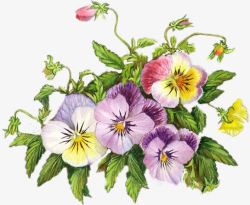 卡通手绘植物花朵装饰素材