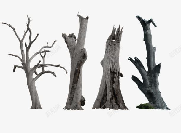 植物木材的png免抠素材_新图网 https://ixintu.com 免费PNG 木材 枯树 防腐木 防腐材料