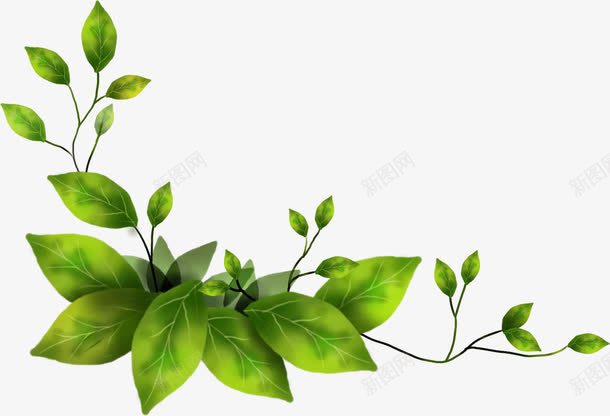手绘绿色树叶植物脉络png免抠素材_新图网 https://ixintu.com 树叶 植物 绿色 脉络