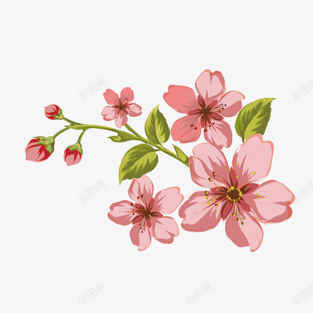 手绘漂亮的花png免抠素材_新图网 https://ixintu.com 叶子 手绘画 植物 矢量装饰 花朵 装饰