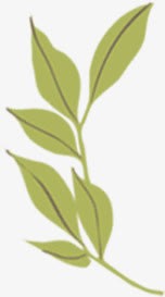 创意手绘合成绿色的树叶效果png免抠素材_新图网 https://ixintu.com 创意 合成 效果 树叶 绿色