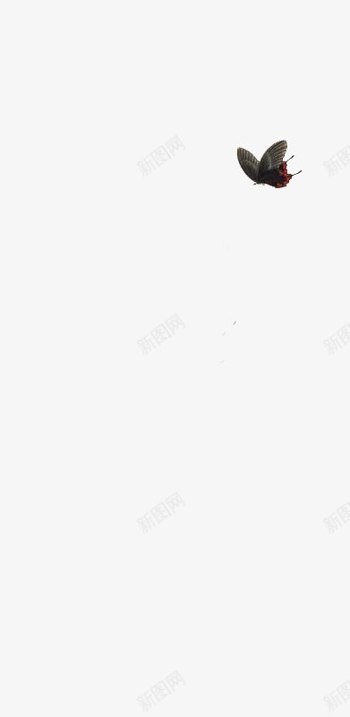 手绘卡通黑色蝴蝶png免抠素材_新图网 https://ixintu.com 卡通 蝴蝶 黑色