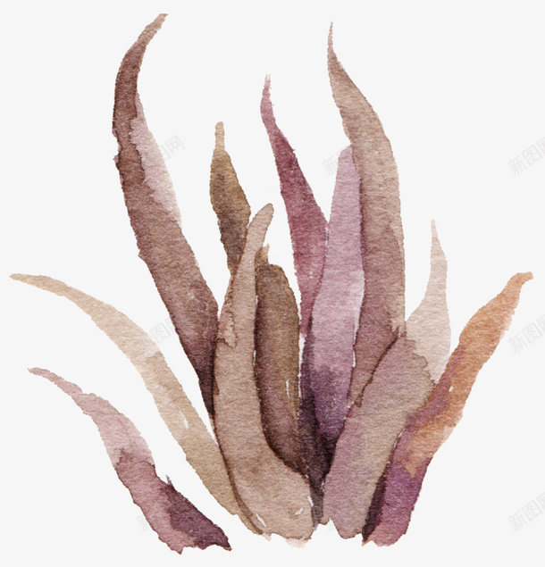 淡紫色复古水彩植物png免抠素材_新图网 https://ixintu.com 复古 水彩植物 淡紫色