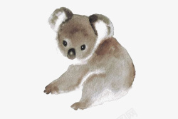 水彩画树袋熊手绘水彩树袋熊高清图片