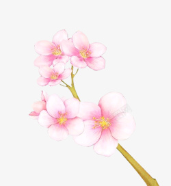 分嫩手绘粉色花朵高清图片