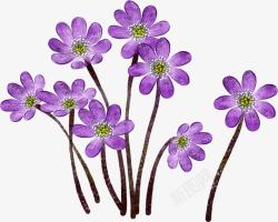 唯美紫色手绘小花素材