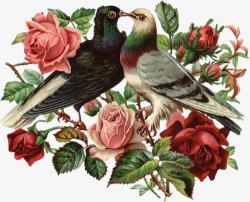 黑鸟与花素材