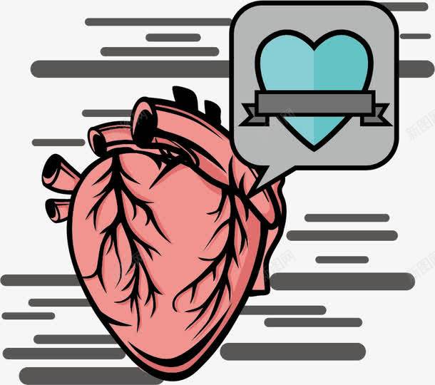 创意心脏器官png免抠素材_新图网 https://ixintu.com 医学 医疗 器官 心中 心脏 爱心 解剖