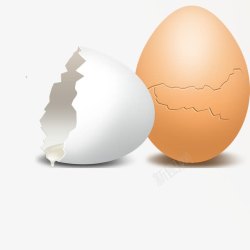 鸡蛋壳素材