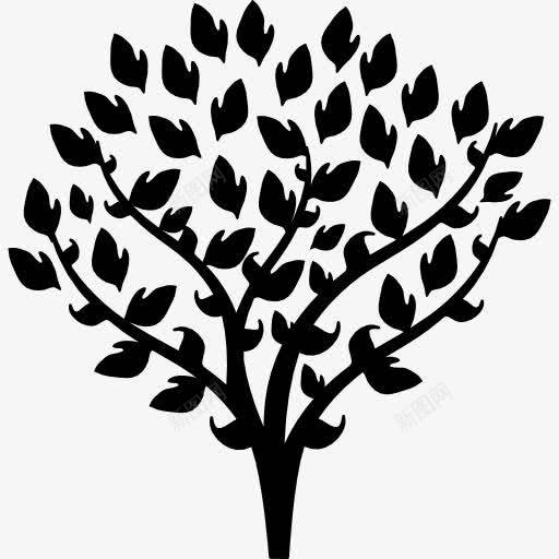 树的树枝覆盖的薄叶图标png_新图网 https://ixintu.com 叶子 树 树枝 自然 自然形状