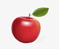 红色逼真大苹果矢量图素材