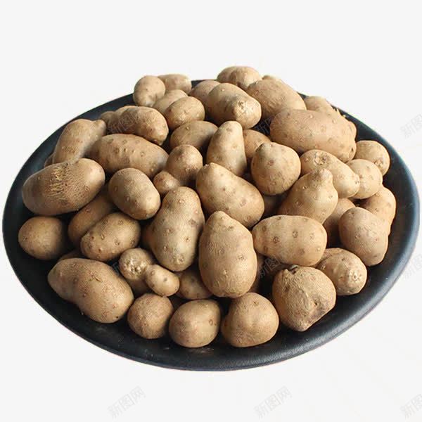 新鲜土豆png免抠素材_新图网 https://ixintu.com 产品实物 蔬菜 马铃薯