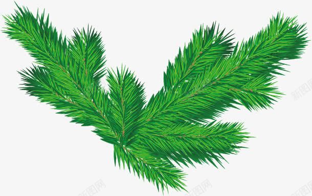 手绘绿色圣诞节装饰植物png免抠素材_新图网 https://ixintu.com 圣诞节 植物 绿色 装饰