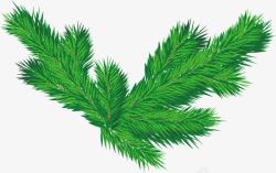 手绘绿色圣诞节装饰植物素材