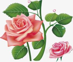 可爱漂亮玫瑰花海矢量图素材