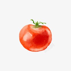 红色的西红柿素材