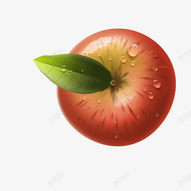 红色水果苹果矢量图ai免抠素材_新图网 https://ixintu.com 水果 水果苹果 红色 苹果 苹果水果 矢量图