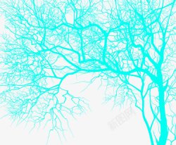 树枝横蓝色密集树枝高清图片