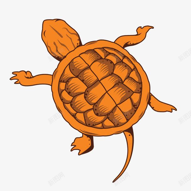 乌龟海龟png免抠素材_新图网 https://ixintu.com 宠物乌龟 海龟 深海乌龟 黄色乌龟
