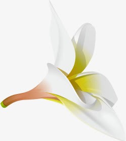 白色花朵宣传海报素材