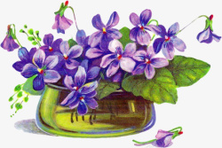 手绘紫花地丁素材