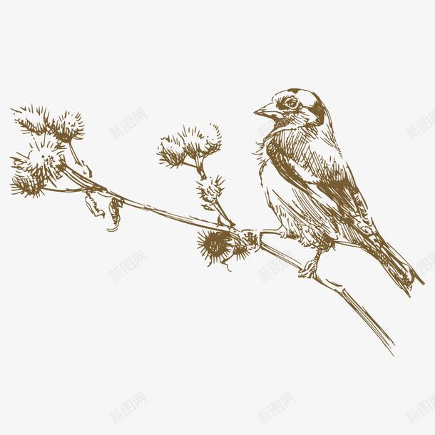 手绘树枝上的小鸟png免抠素材_新图网 https://ixintu.com 小鸟 手绘 数值