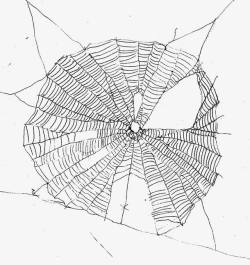 网状手绘蜘蛛网素材