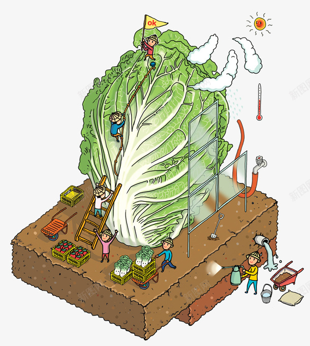 卡通蔬菜png免抠素材_新图网 https://ixintu.com 人 卡通画 白菜 蔬菜