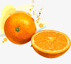 橙子矢量图素材