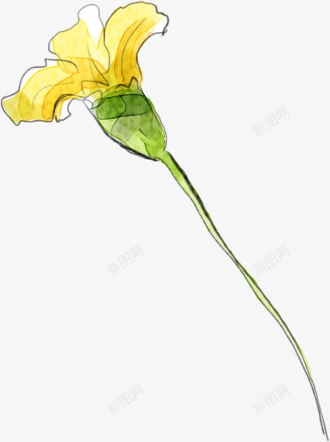 艳色黄色花卉水印展板png免抠素材_新图网 https://ixintu.com 展板 水印 花卉 黄色