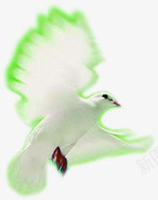 白色鸽子海报装饰png免抠素材_新图网 https://ixintu.com 海报 白色 装饰 鸽子