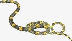 动物世界孤独黄蛇素材