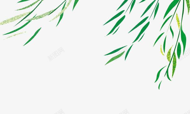绿色柳枝装饰图案png免抠素材_新图网 https://ixintu.com 免抠PNG 柳枝 绿色 装饰图案