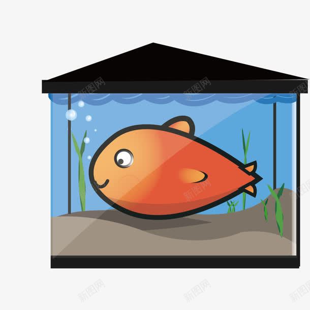 鱼缸中的鱼png免抠素材_新图网 https://ixintu.com 海草 鱼 鱼缸