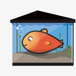 鱼缸中的红鱼鱼缸中的鱼高清图片