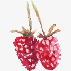 手绘水彩水果树莓素材