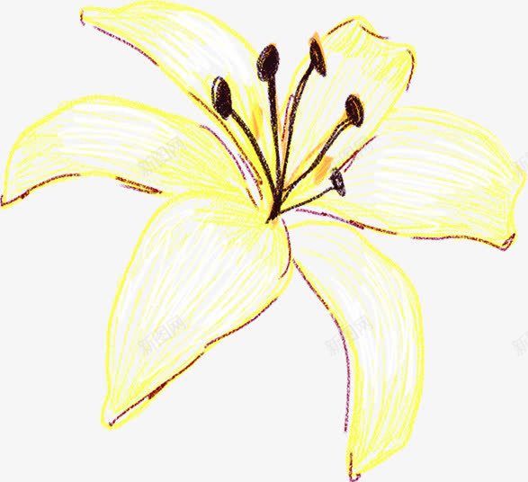 夏日黄色花朵海报花朵png免抠素材_新图网 https://ixintu.com 夏日 海报 花朵 设计 黄色