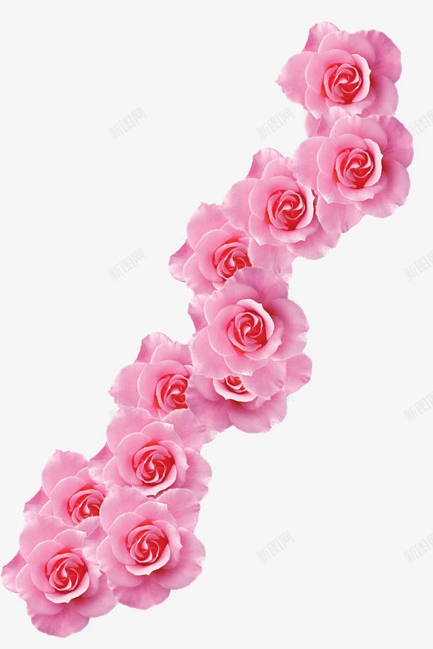 粉色玫瑰花朵装饰png免抠素材_新图网 https://ixintu.com 玫瑰 粉色 花朵 装饰 设计