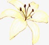 暖色花朵png免抠素材_新图网 https://ixintu.com 暖色 素材 花朵