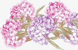 手绘紫色唯美花朵植物树叶素材