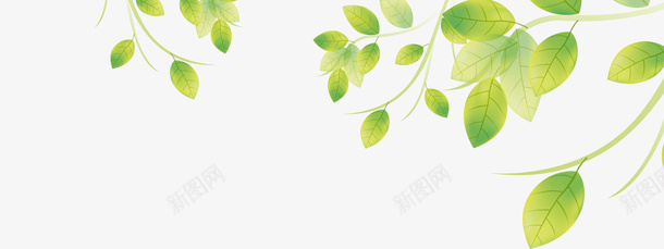 绿色树叶叶子png免抠素材_新图网 https://ixintu.com 叶 叶子 树叶 植物 绿色 绿色树叶
