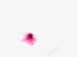 粉色掉落花卉手绘海报背景素材