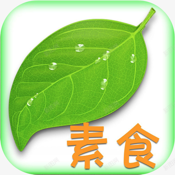 手机素食菜谱大全美食佳饮app图标png_新图网 https://ixintu.com 图标 应用图标 手机素食菜谱大全图标 手机素食菜谱大全美食佳饮app图标免费下载 素食菜谱大全 素食菜谱大全图标logo 美食佳饮app