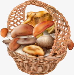 篮子装满蘑菇素材